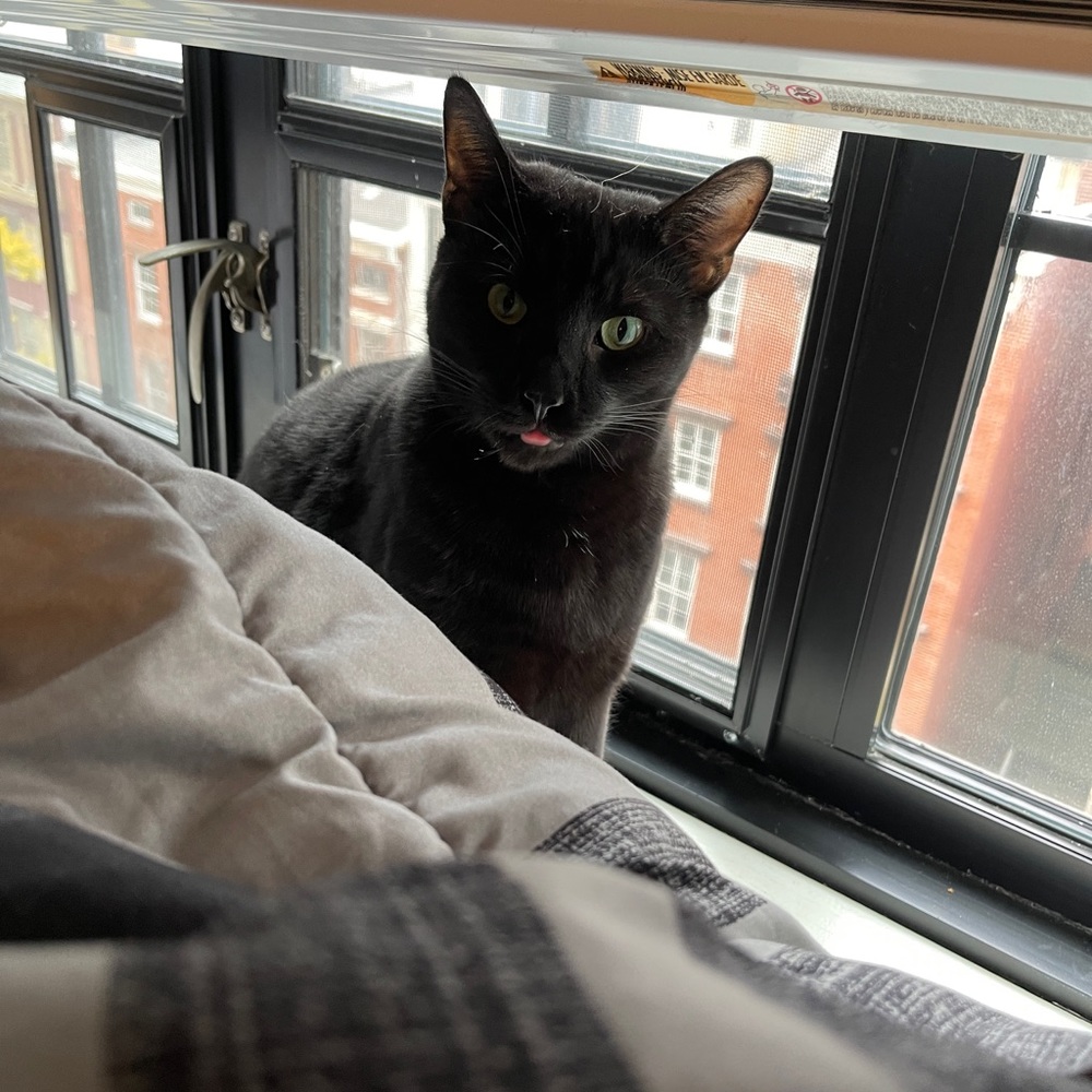 Meet your Posher, Joshua